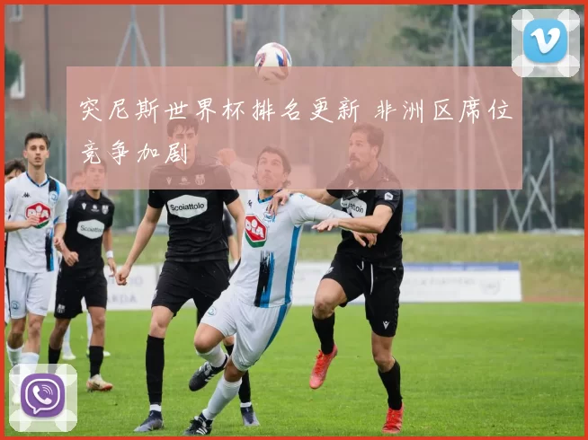 突尼斯世界杯排名更新 非洲区席位竞争加剧