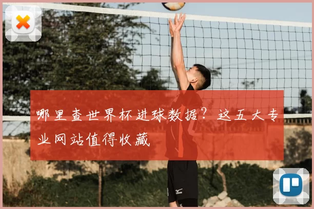 哪里查世界杯进球数据?这五大专业网站值得收藏