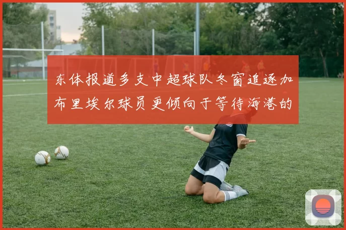 东体报道多支中超球队冬窗追逐加布里埃尔球员更倾向于等待海港的机会