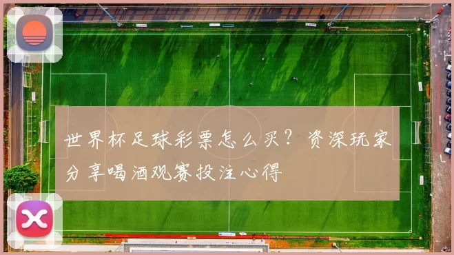 世界杯足球彩票怎么买?资深玩家分享喝酒观赛投注心得