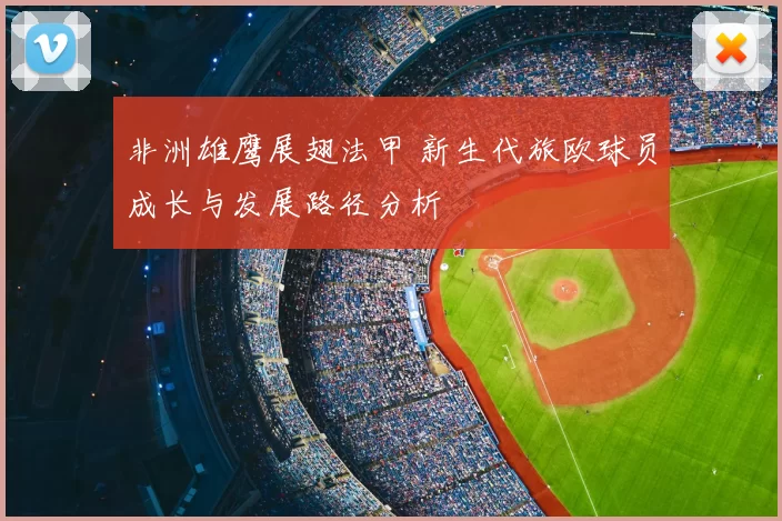 非洲雄鹰展翅法甲 新生代旅欧球员成长与发展路径分析