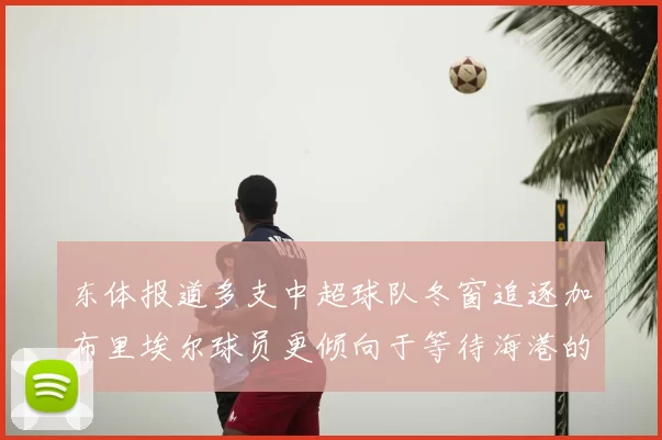 东体报道多支中超球队冬窗追逐加布里埃尔球员更倾向于等待海港的机会