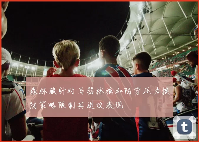 森林狼针对马瑟林施加防守压力换防策略限制其进攻表现