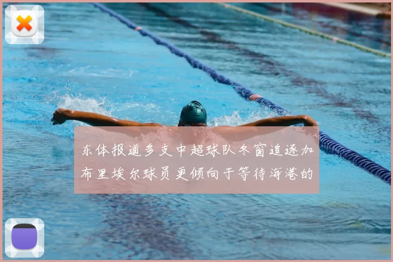 东体报道多支中超球队冬窗追逐加布里埃尔球员更倾向于等待海港的机会