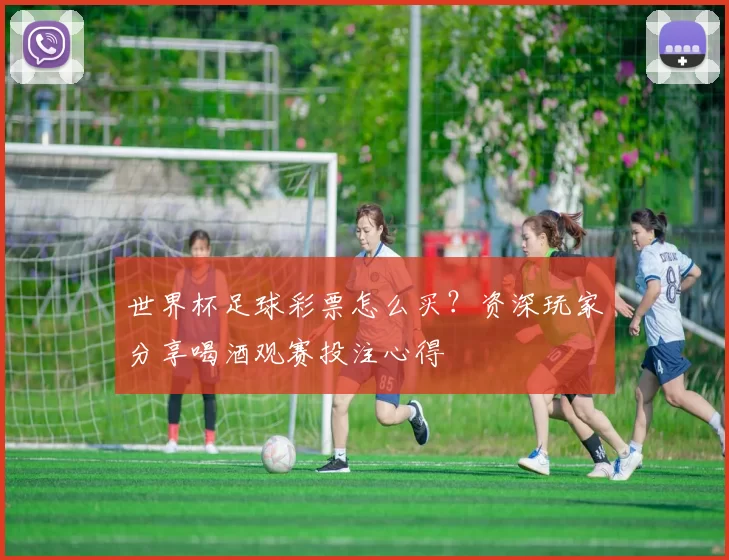 世界杯足球彩票怎么买?资深玩家分享喝酒观赛投注心得