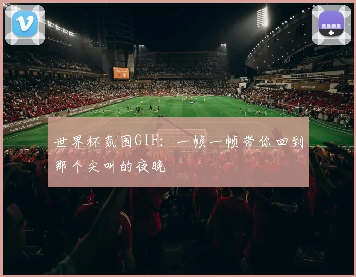 世界杯氛围GIF:一帧一帧带你回到那个尖叫的夜晚