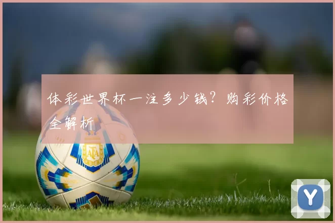 体彩世界杯一注多少钱?购彩价格全解析