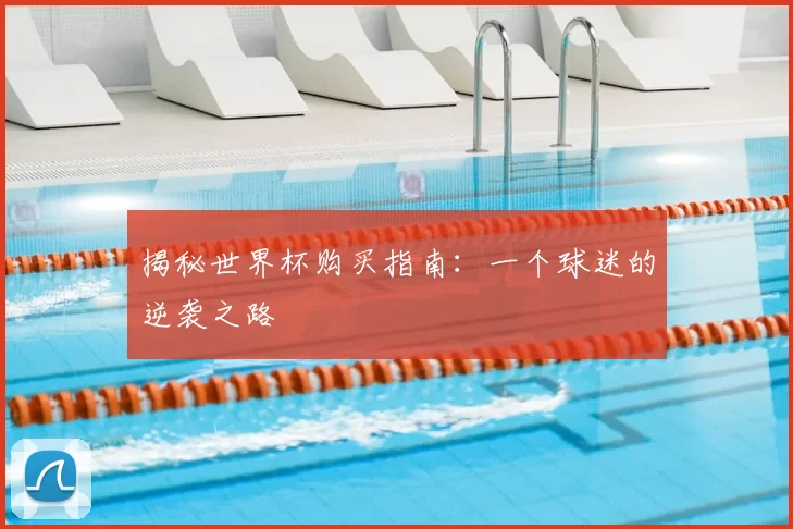 揭秘世界杯购买指南:一个球迷的逆袭之路