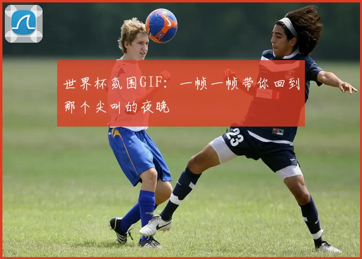 世界杯氛围GIF:一帧一帧带你回到那个尖叫的夜晚