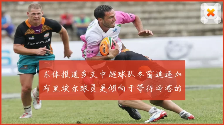 东体报道多支中超球队冬窗追逐加布里埃尔球员更倾向于等待海港的机会