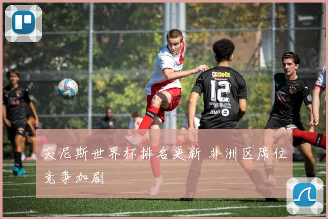 突尼斯世界杯排名更新 非洲区席位竞争加剧