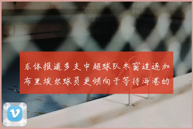 东体报道多支中超球队冬窗追逐加布里埃尔球员更倾向于等待海港的机会