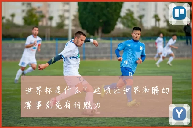 世界杯是什么?这项让世界沸腾的赛事究竟有何魅力