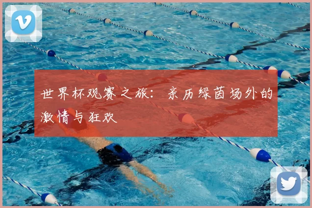 世界杯观赛之旅:亲历绿茵场外的激情与狂欢