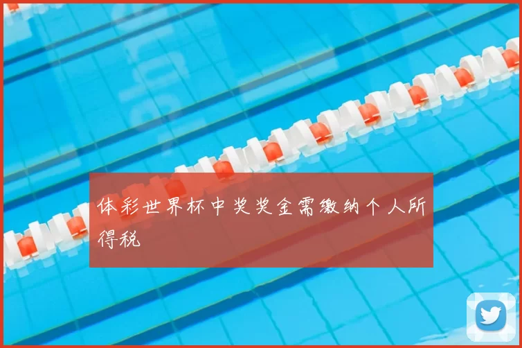 体彩世界杯中奖奖金需缴纳个人所得税