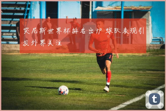 突尼斯世界杯排名出炉 球队表现引发外界关注