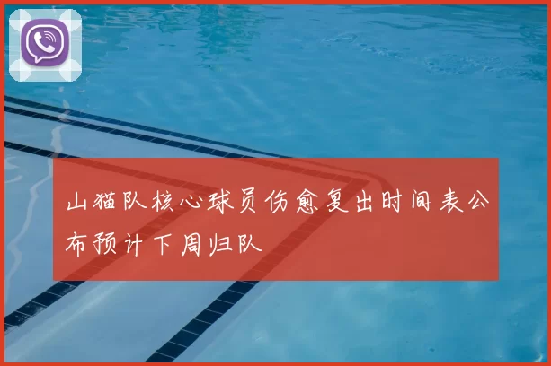 山猫队核心球员伤愈复出时间表公布预计下周归队