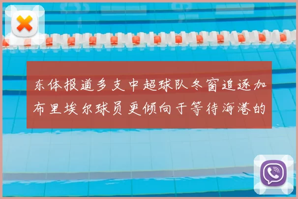 东体报道多支中超球队冬窗追逐加布里埃尔球员更倾向于等待海港的机会