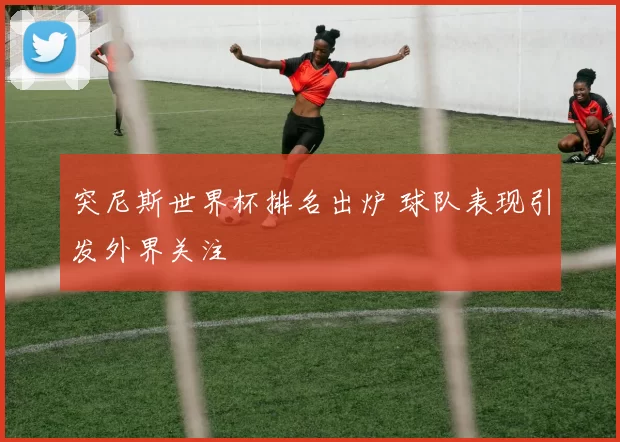 突尼斯世界杯排名出炉 球队表现引发外界关注