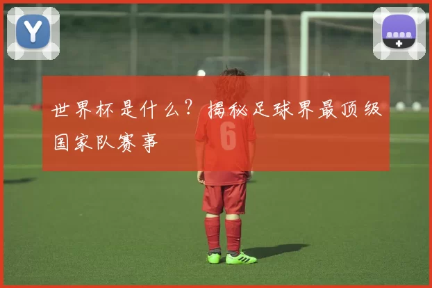 世界杯是什么?揭秘足球界最顶级国家队赛事