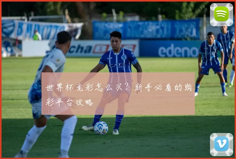 世界杯竞彩怎么买?新手必看的购彩平台攻略