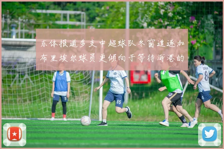 东体报道多支中超球队冬窗追逐加布里埃尔球员更倾向于等待海港的机会
